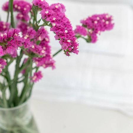 La Fontina De Luarca公寓 外观 照片